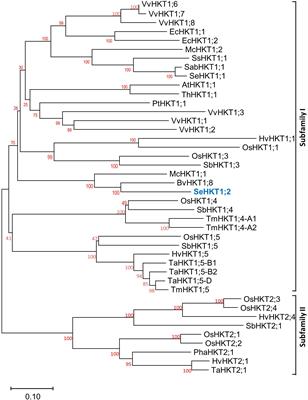 A novel high-affinity potassium transporter SeHKT1;2 from halophyte Salicornia europaea shows strong selectivity for Na+ rather than K+